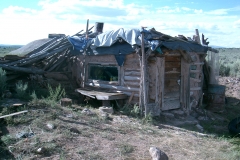 PLAND - pit hut